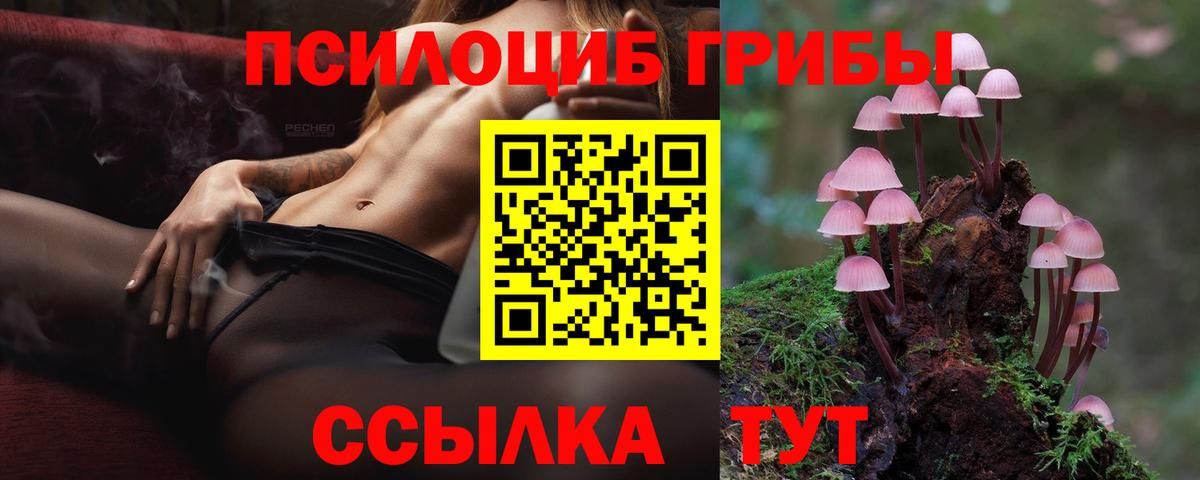 даркнет сайт  Вход с VPN  Рузаевка  Псилоцибиновые грибы MAGIC MUSHROOMS  Галлюциногенные грибы Cubensis 